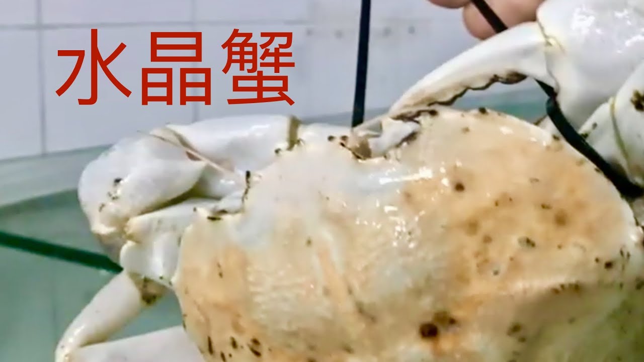 水晶蟹  雪蟹（澳洲）简单料理。煮熟还是通体雪白 。肉质细腻，蟹中极品。