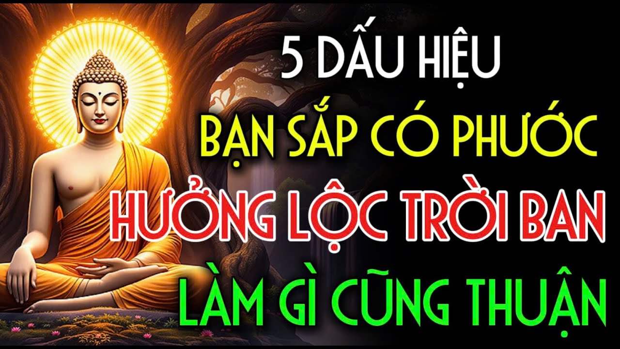5 DẤU HIỆU, BẠN SẮP CÓ PHƯỚC TRỜI BAN, LÀM GÌ CŨNG THUẬN | Nhân Tâm Chỉ Lộ