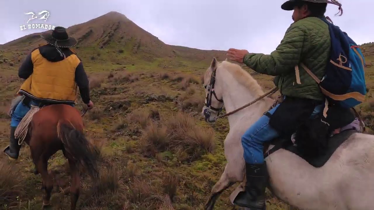 Buscando Caballos Cerreros (Caballos Salvajes) en los Páramos de Colombia | Versión Invierno | 4K