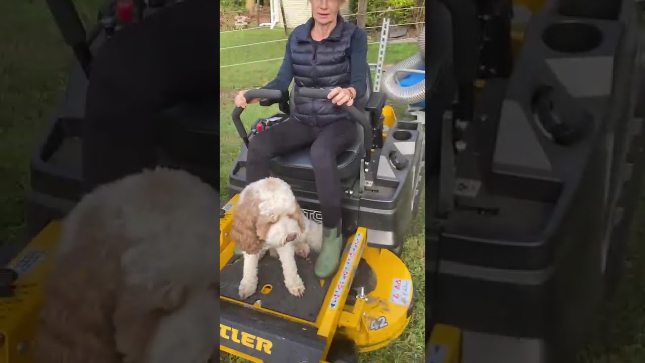 Greystone Paddock Vacuum Review 🐴 | Honest Test from a Horse Owner