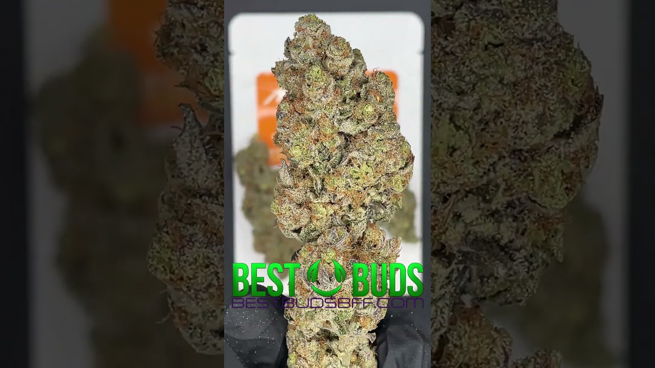 Mandarin Cookies High THCa Hemp Flower - Best Buds Bud Shots