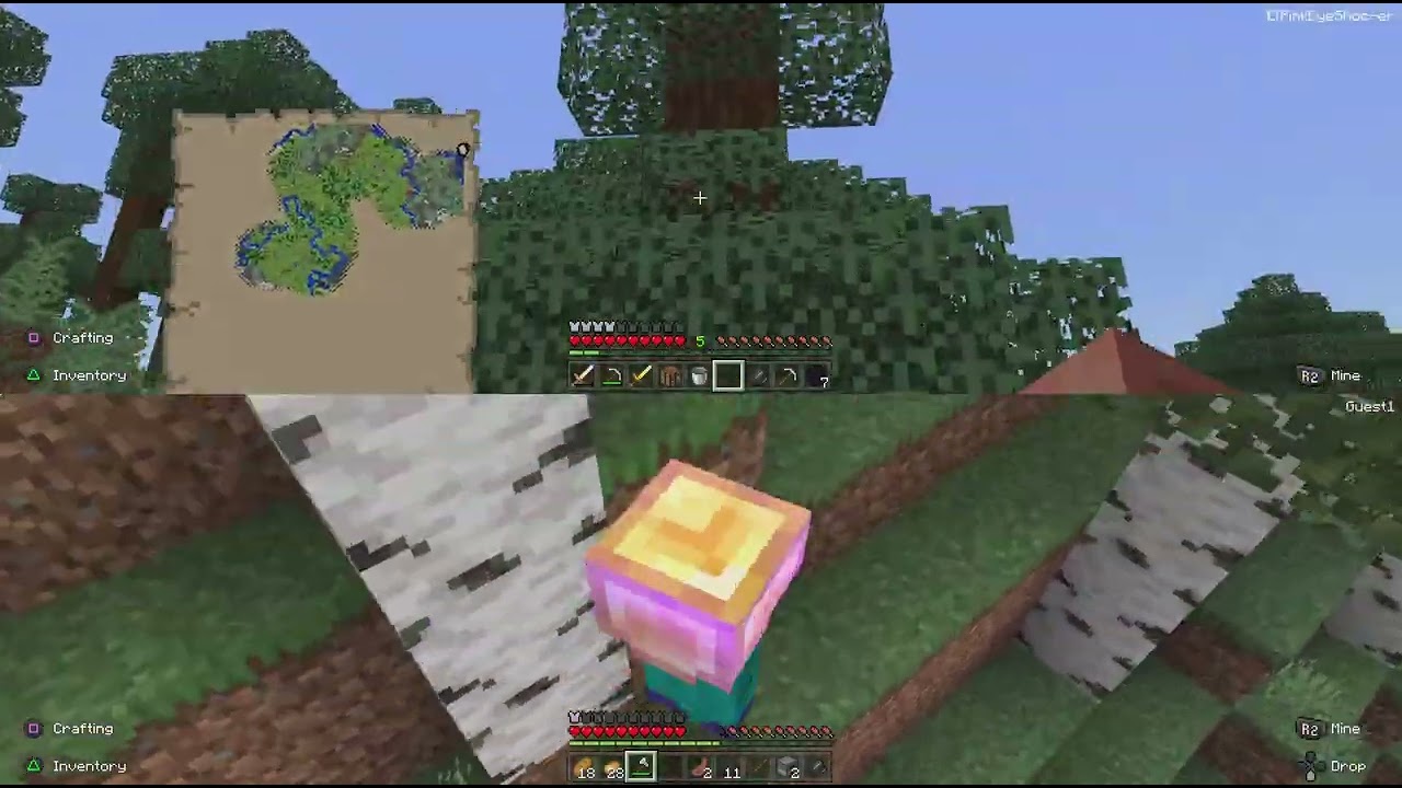 Werid glitch