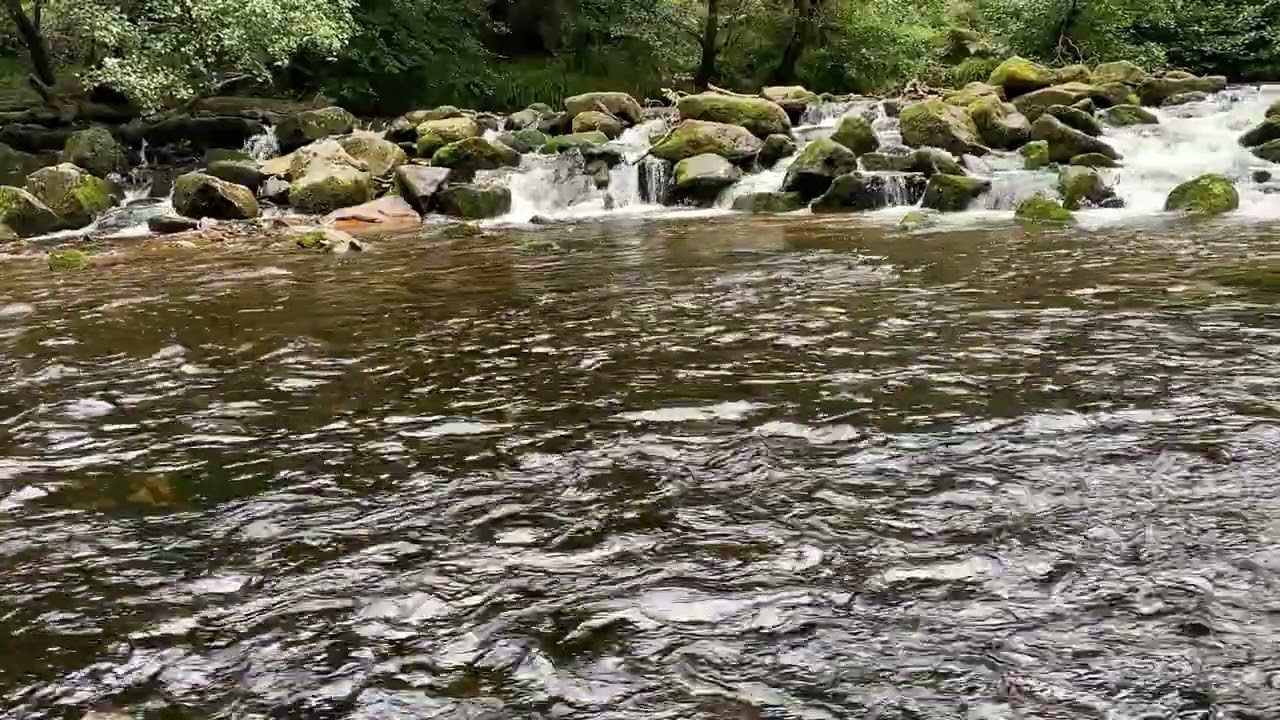 Leaves on a stream exercise