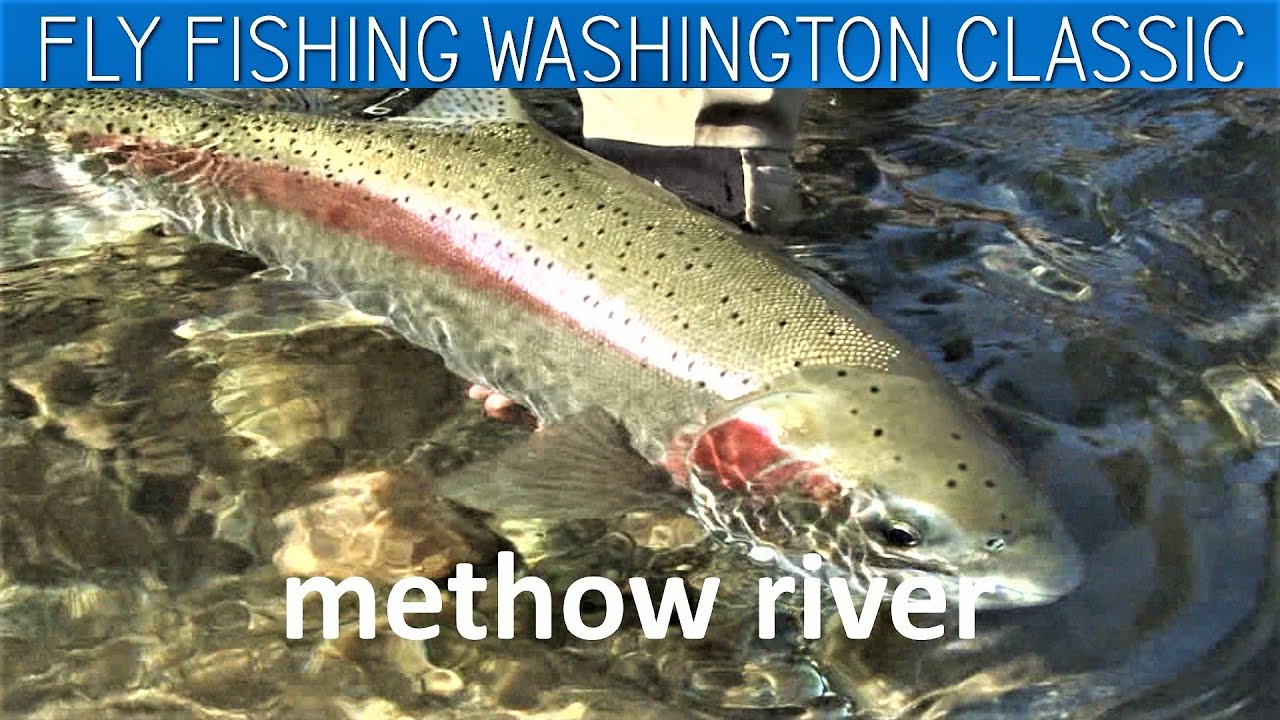 Fly Fishing Washington State FWL Classic Methow River Steelhead Middle