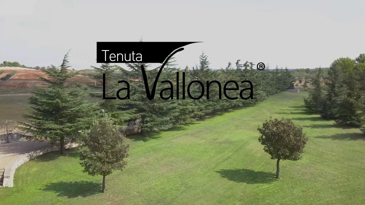 Tenuta La Vallonea 2019