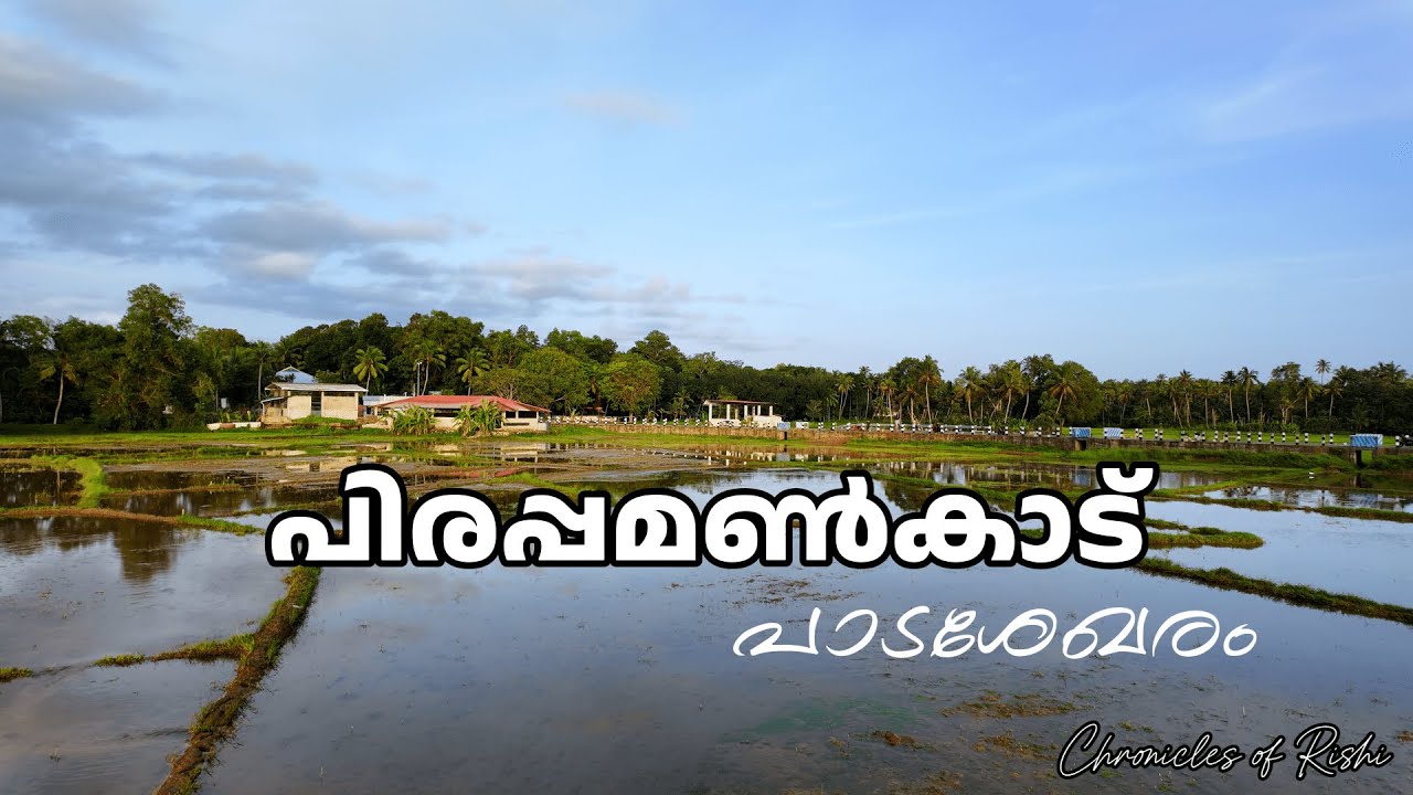Pirappamankad | Hidden Paddy Field in Trivandrum |Cinematic vlog