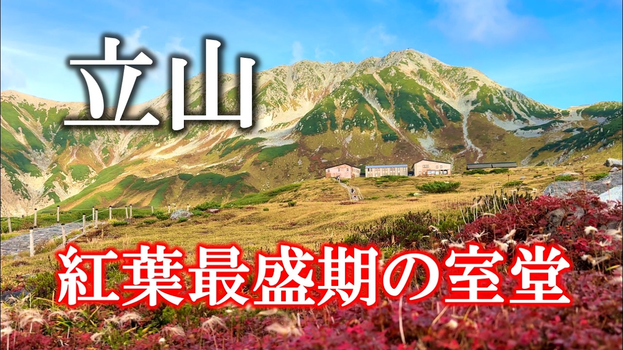 【立山】 紅葉真っ盛りの室堂平！雷鳥荘泊が最高すぎた【2024/09/30】