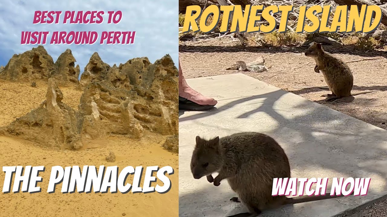 Perth part 3 Rottnest Island, Yanchep National Park and the Pinnacles