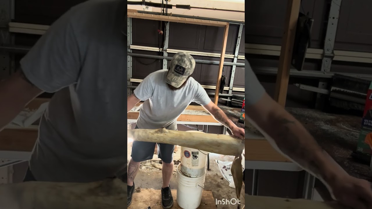 How to tan fur: oiling the pelt!