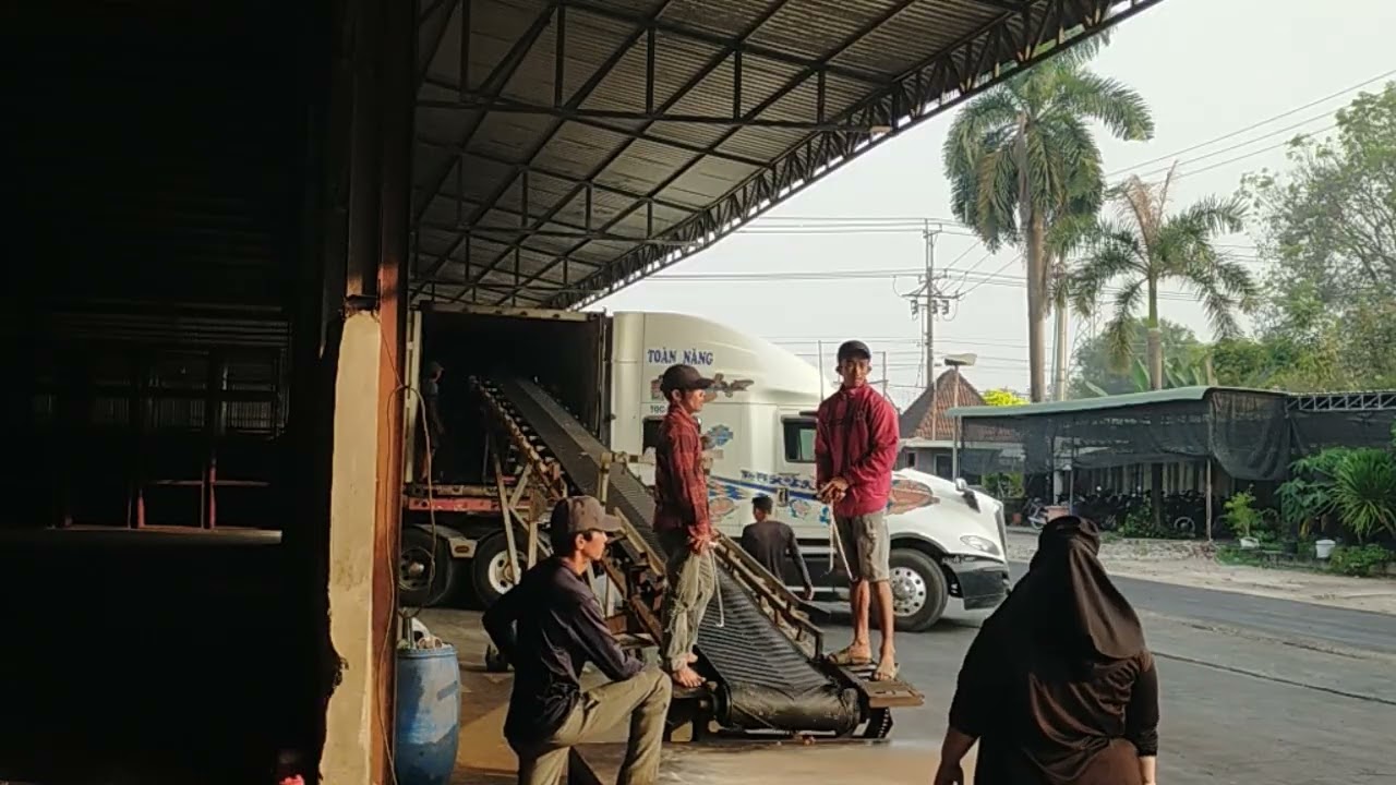 TÂN BÌNH 2 OR 031 MSKU 4190 265