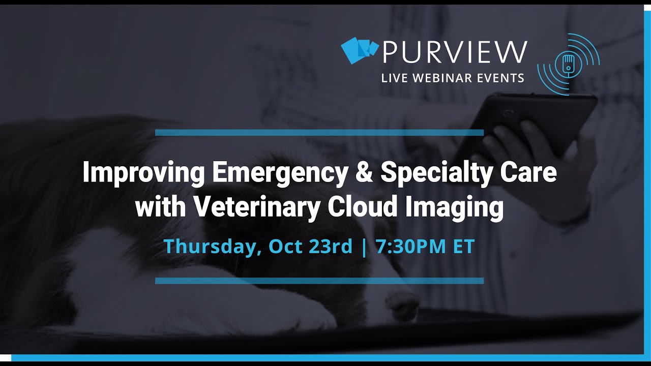 How Purview Streamlines Imaging at Animalius with ezyVet Integration