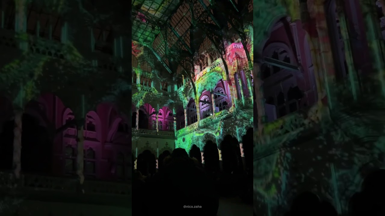 The best show lately. Vivaldi + lightshow #eonarium #lightshow #immersive #antwerp #travel #europe