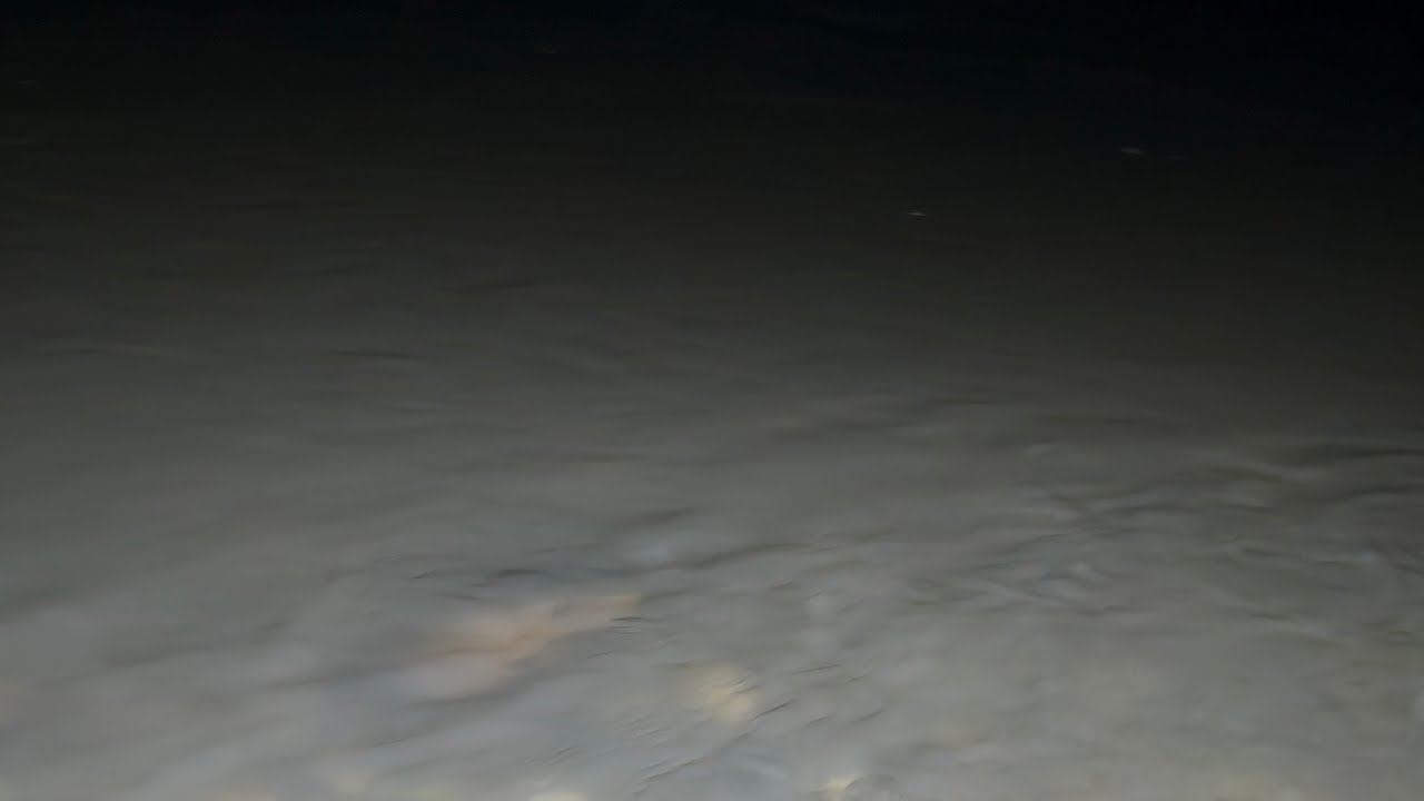 Vasi SURVIVAL  este live!... aventura de noapte