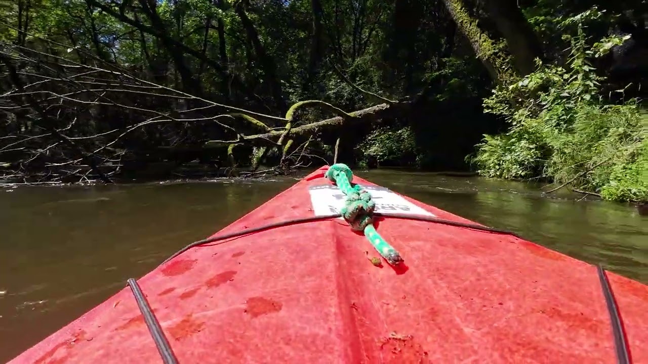 Kayaking in Poland summer 2024. Ambient music half an hour