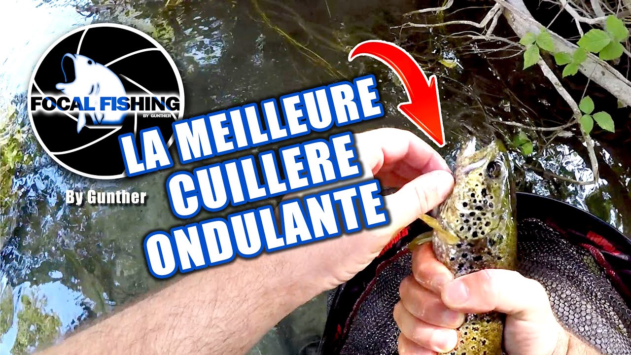 Truite à la meilleure cuillère ondulante (LA MEILLEURE !!! )