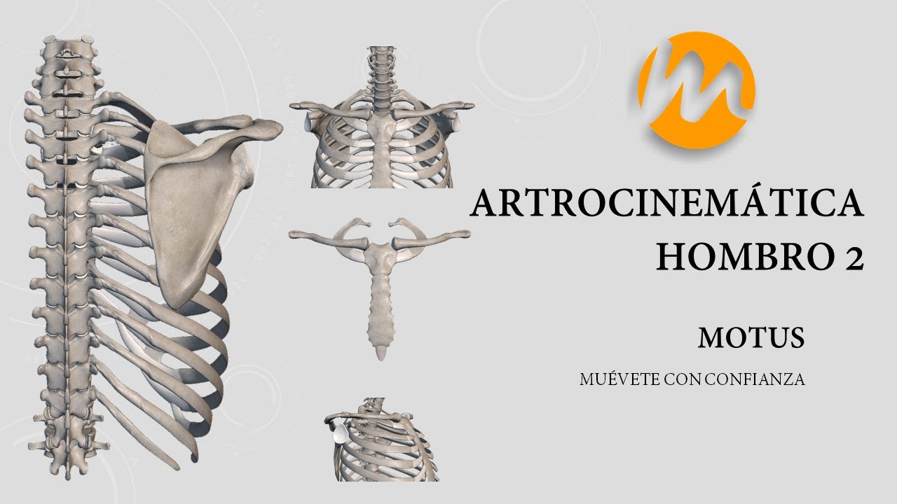 Artrocinemática de Hombro 2