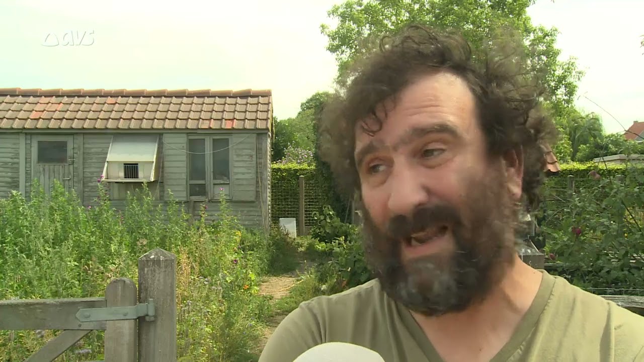 Duiven zoek na vlucht uit Narbonne