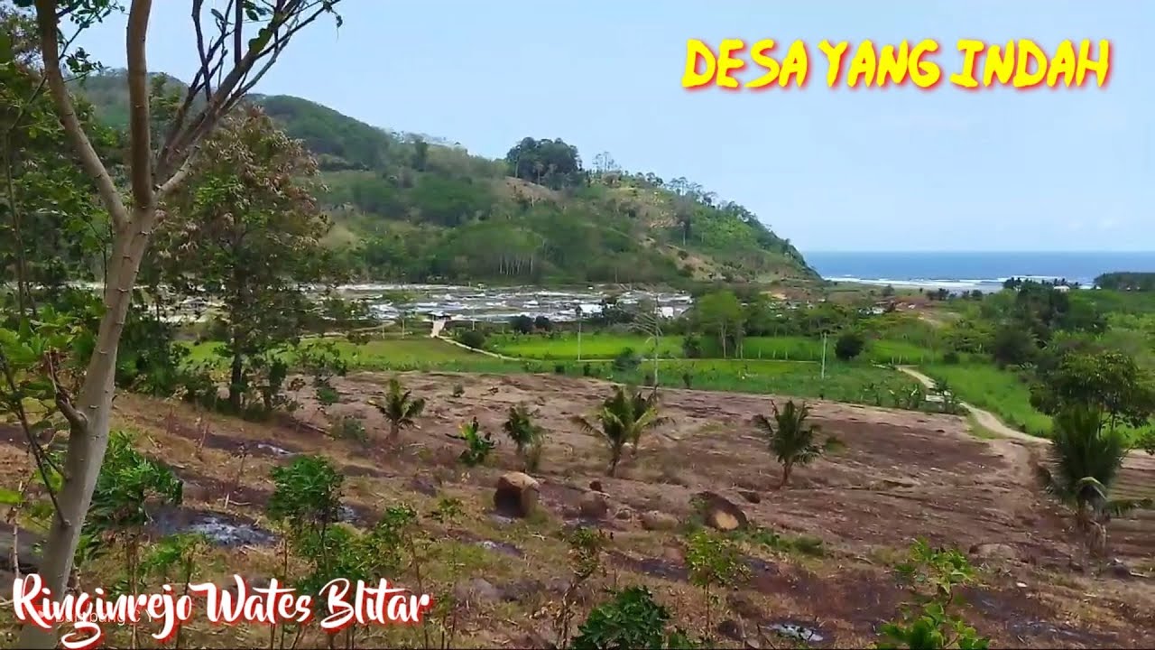 Alam Pedesaan yang Indah, Desa Ringinrejo Wates Blitar