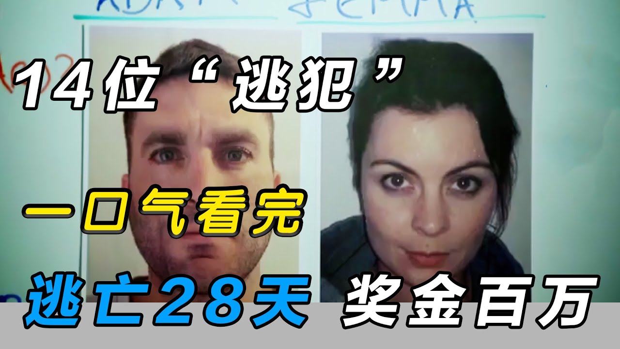 一口气看完《潜行追踪》英版第一季：全程都在抓人，14名逃犯，逃亡28天可得10万英镑
