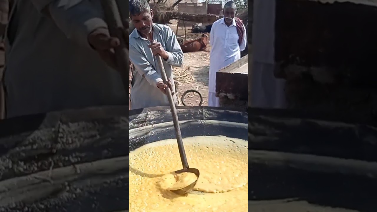 #shugarmakinginvilge #shugar #shugarcane #brwonshugar #goldshugar #gurhmaking #foryou #foryou #fypvi