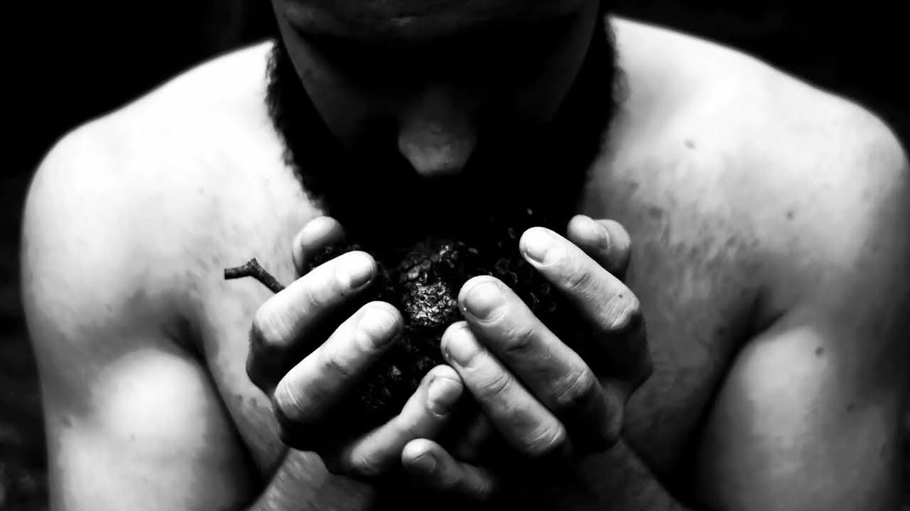 MOSAIC - Heilstatt (Official Video)