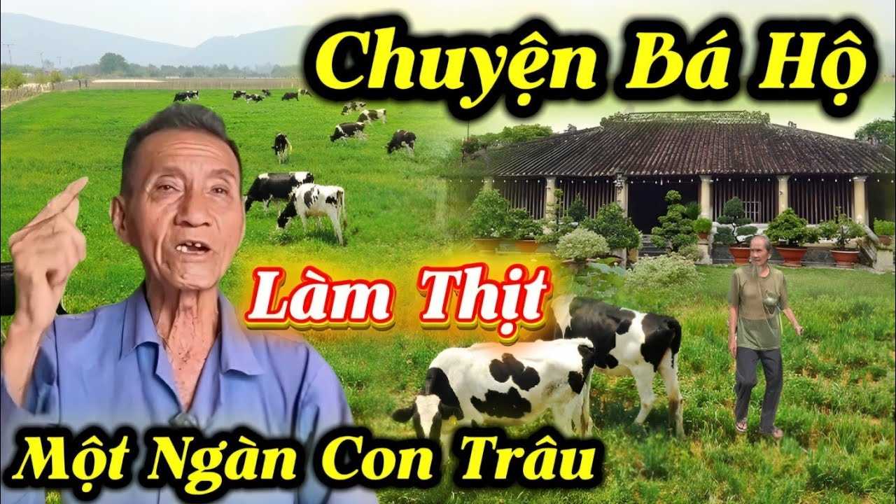 Chuyện Bá Hộ Làm Thịt Một Ngàn Con Trâu...