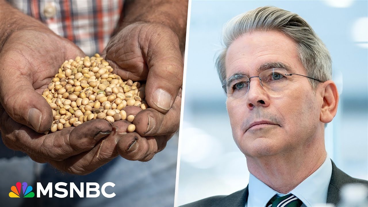 'All hat and no cattle': Farmer responds to Bessent's claim that he's a soybean farmer