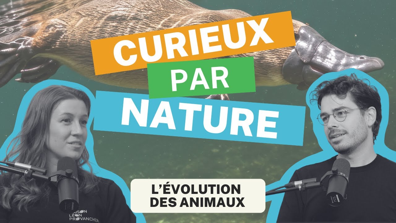 Curieux par Nature - Épisode 3: L'évolution des animaux