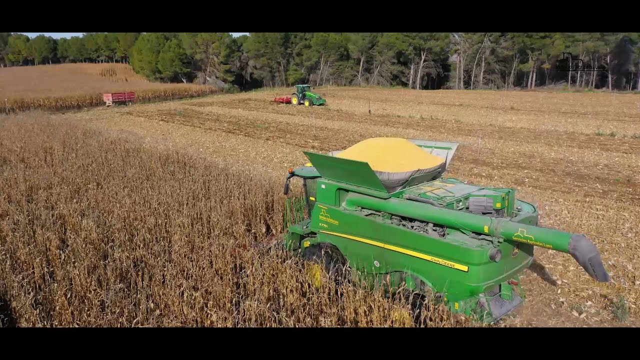 Servicios Agricolas Luna.  Año 2020