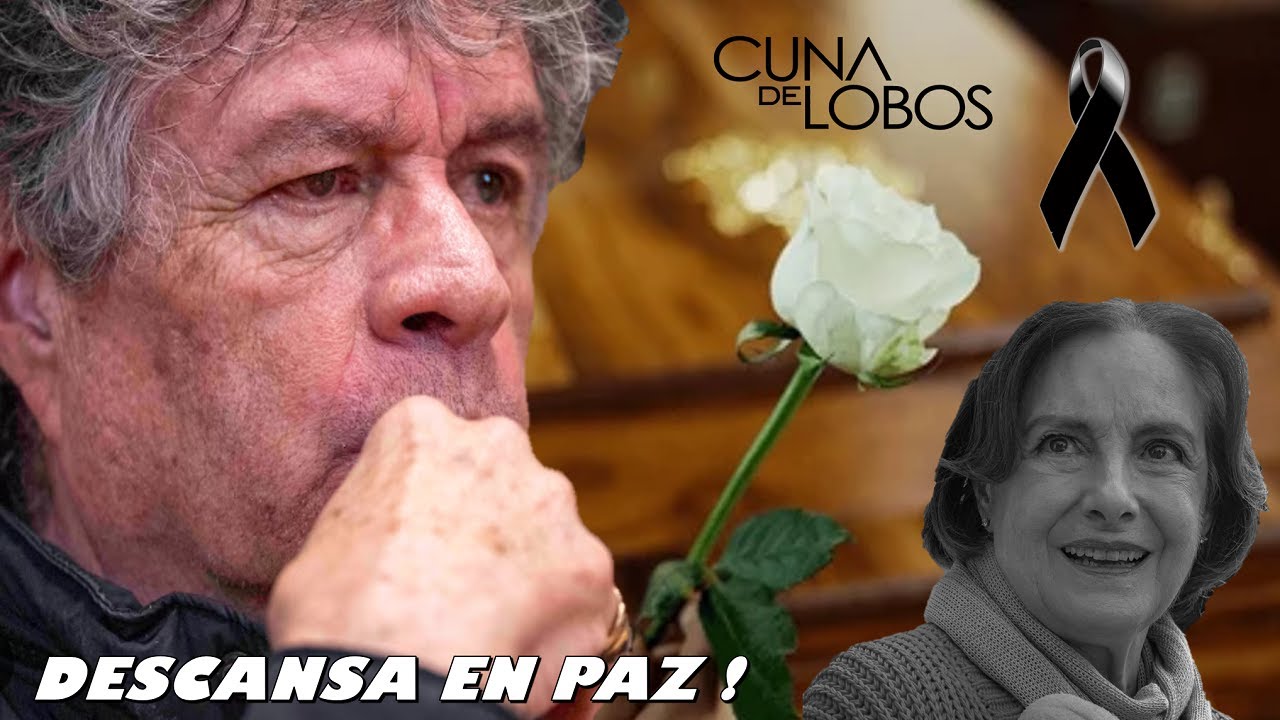 8 ACTORES de la Telenovela 