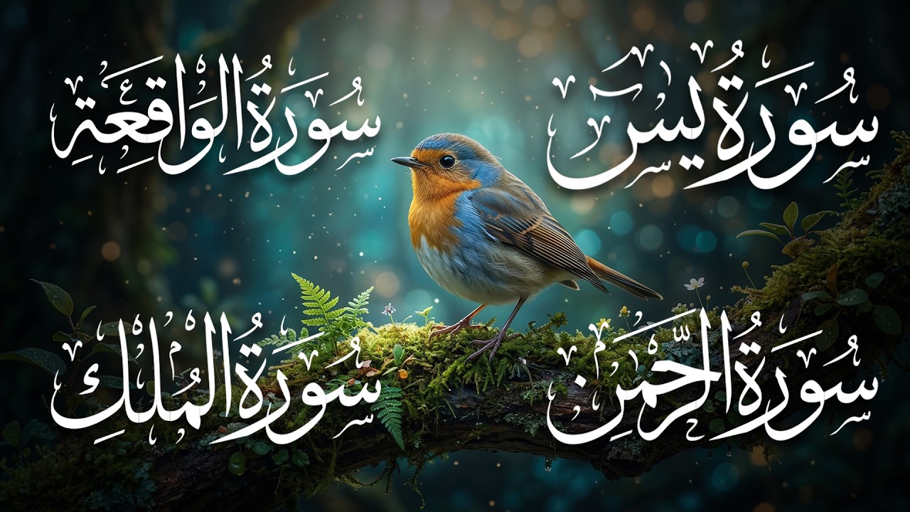 تلاوة خاشعة للقرآن الكريم | سورة يس الرحمن الواقعة الملك