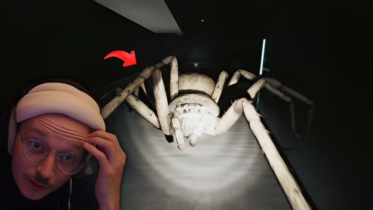 A SCARY SPIDER GAME... HUNTSMAN