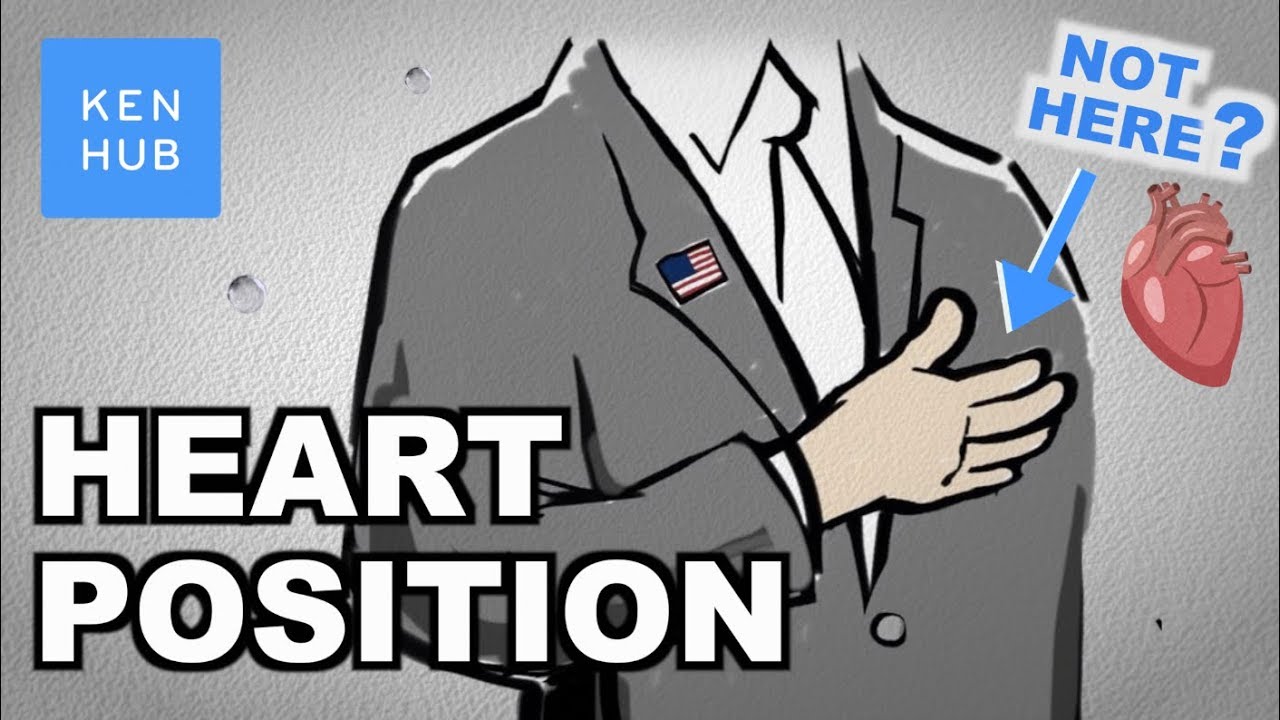 Your heart is not where you think it is - Human Anatomy | Kenhub