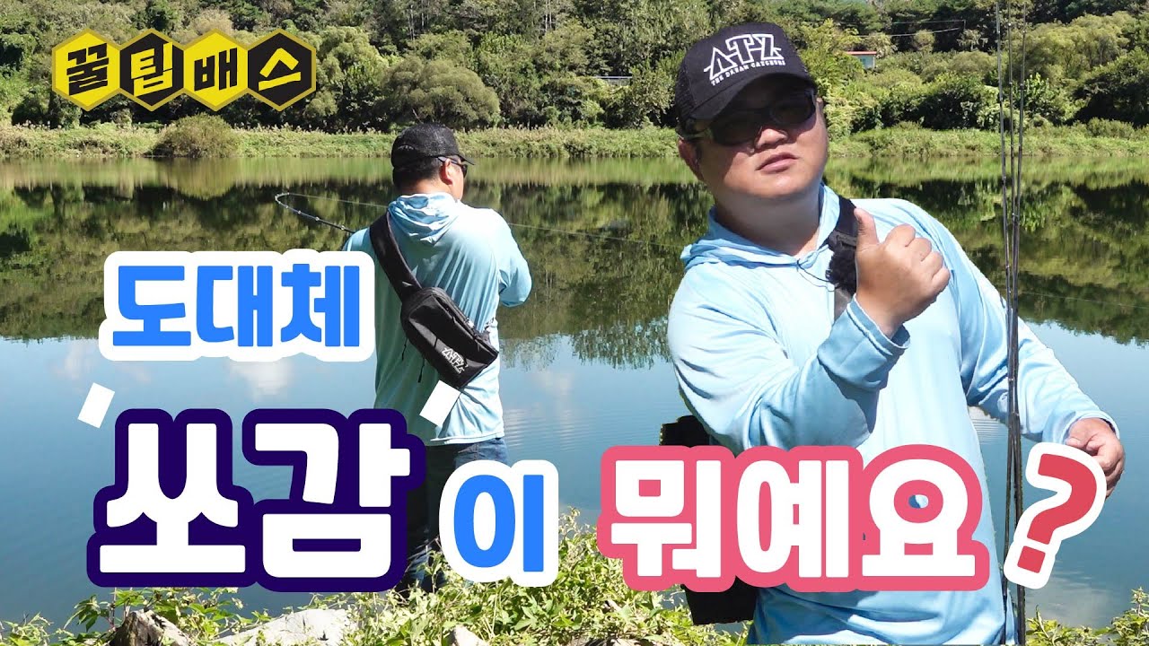 가을 배스낚시를 떠나는 입문자를 위한 쉬운 쏘감낚시