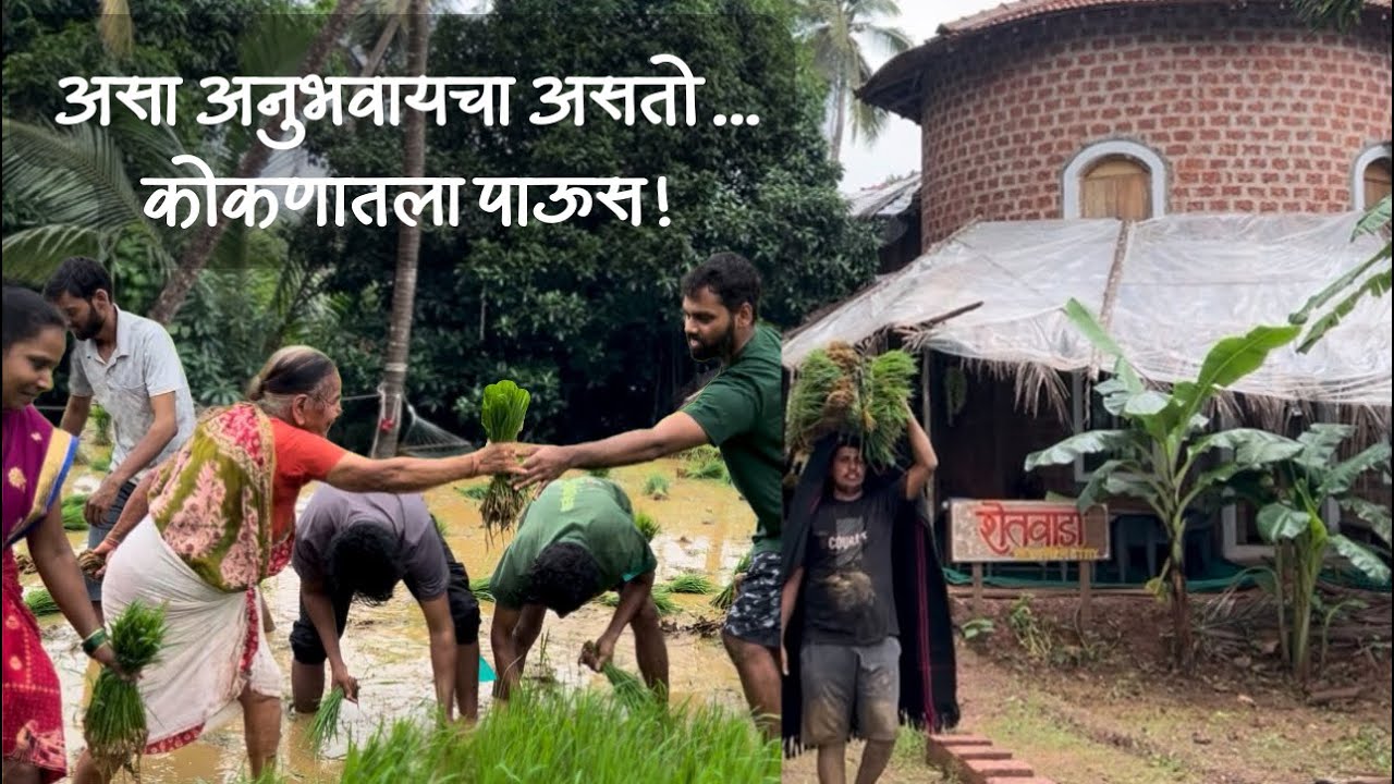 शेतकऱ्यांबरोबर जगलो 'कोकणातला पावसाळा' | Real Monsoon Life | शेतवाडा ecofarmstay