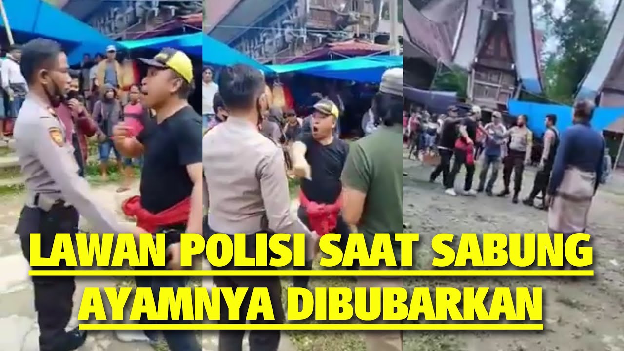 Bandar Judi Sabung Ayam Ngamuk Kejar Polisi, Hendak Tusuk Aparat dengan Pecahan Botol Bir