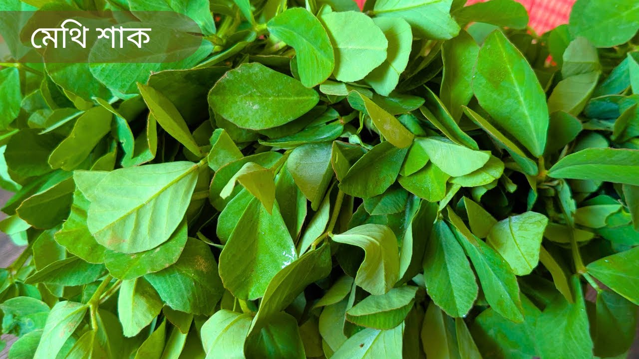 মেথি শাক || Methi Saag Recipe in Bengali || Methi Begun Recipe