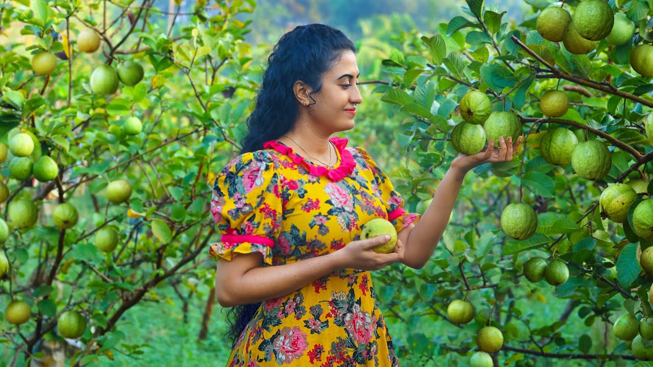 Guava Delights (Sri Lankan Recipes) 🍐 Making Cordial, Cotton Candy, Creamy Cake, and More Treats!