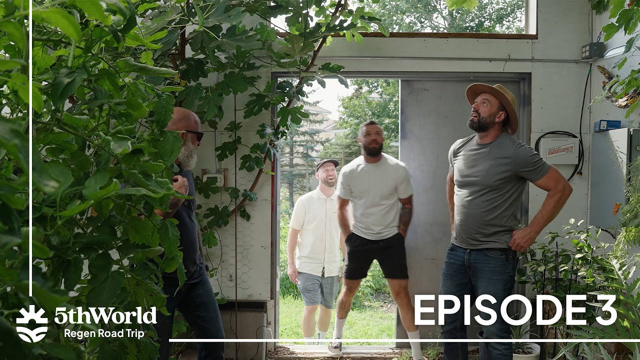 How a Passive Solar Greenhouse Powers Human Healing | #RegenRoadTrip 3