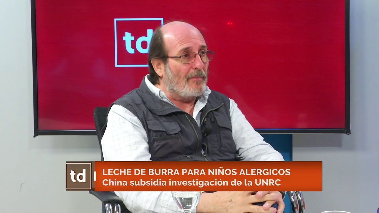 Leche de burra para niños alérgicos: China subsidia investigación de la UNRC