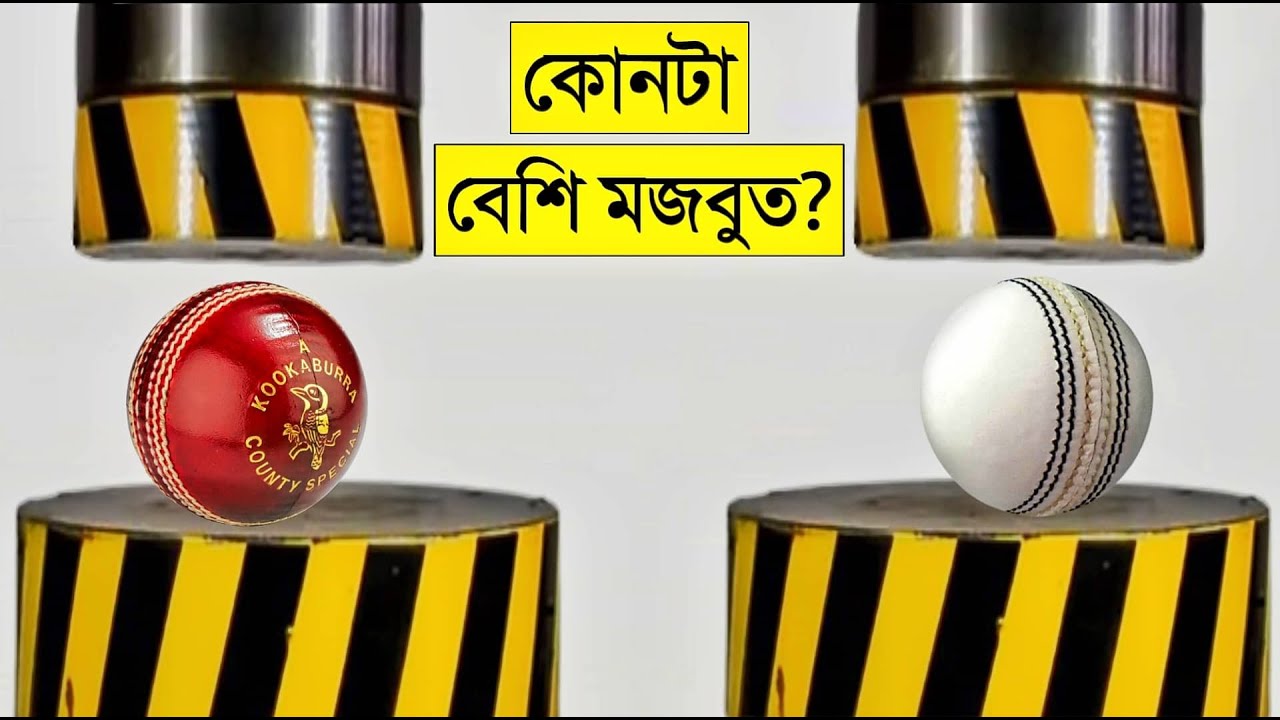 Hydraulic Press vs Ball😱| এমনই কিছু এক্সপেরিমেন্ট দেখে আপনারা অবাক হয়ে যাবেন | Amazing Experiments