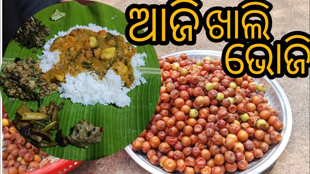 ବୋଉ ଆମ ଝିଅକୁ ନେଇ ଗଲି ବାସସରବର୍#ଦୁର୍ଗା ମନ୍ଦିରରୁ ଆସିଲା ଭୋଜି# video#