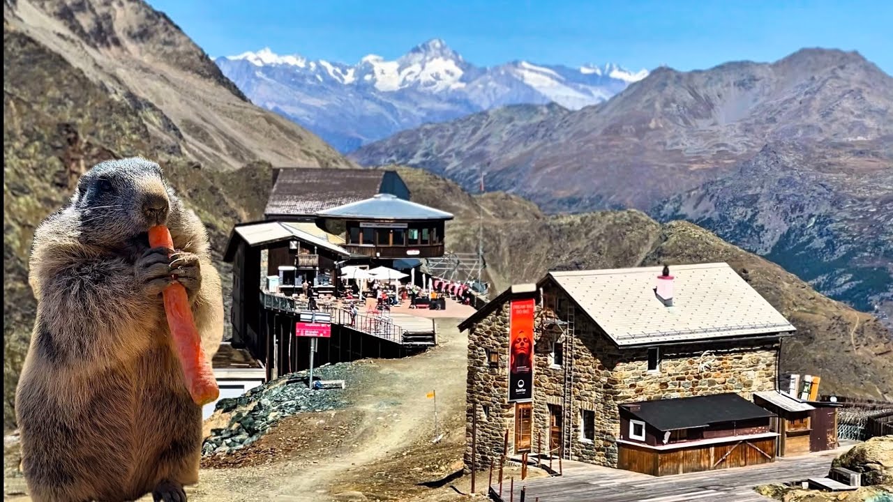 Blue Lake on the Glacier | Funny Marmots in Saas-Fee Switzerland🇨🇭🦫Travel Guide 