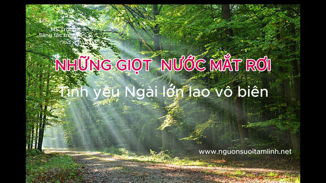 Những Giọt Nước Mắt Rơi
