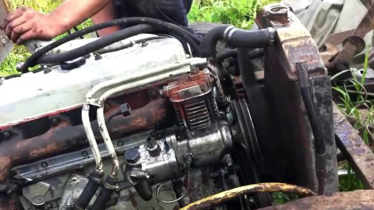 Avia 31