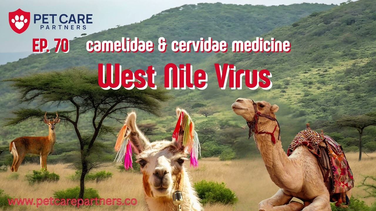 EP 70 | West Nile Virus in Camelidae & Cervidae