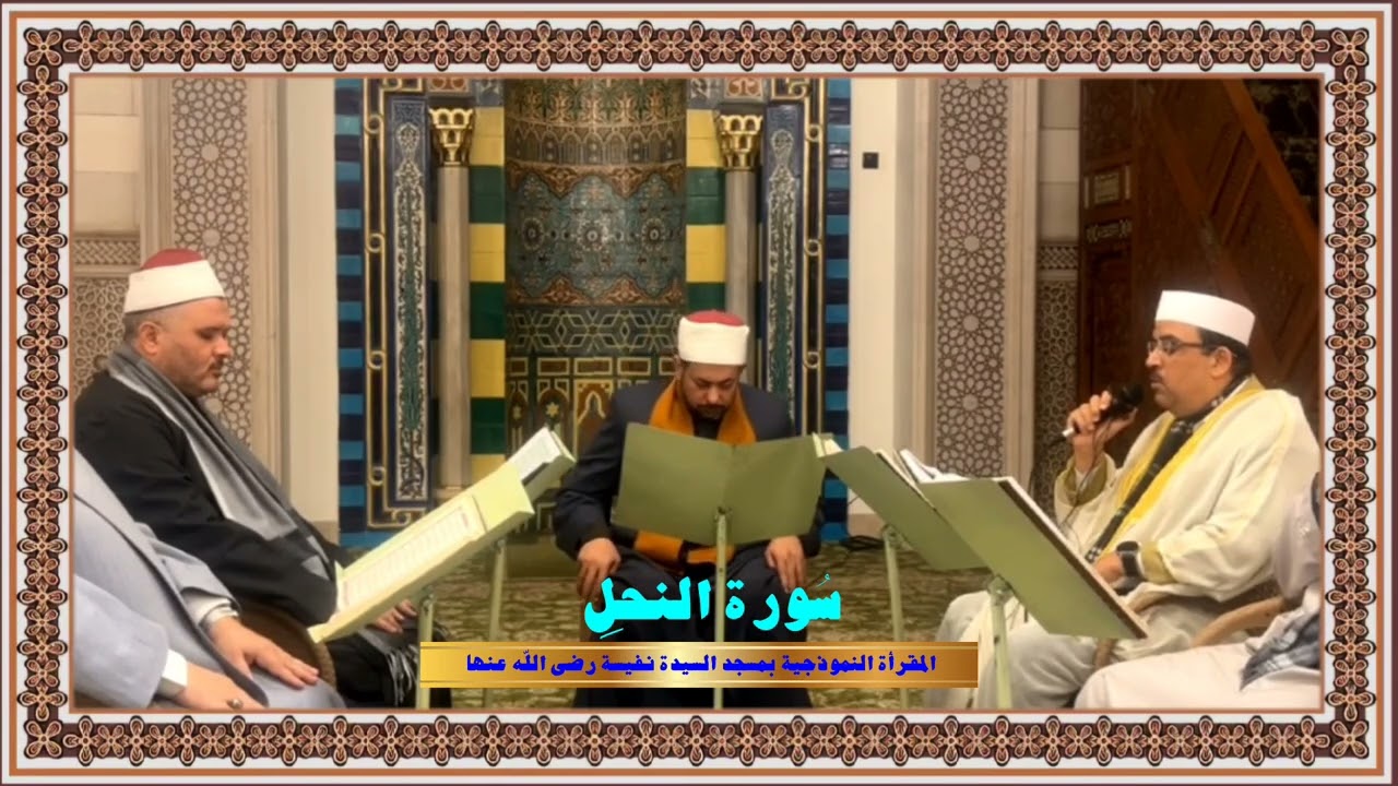 ١٢ يناير ٢٠٢٦