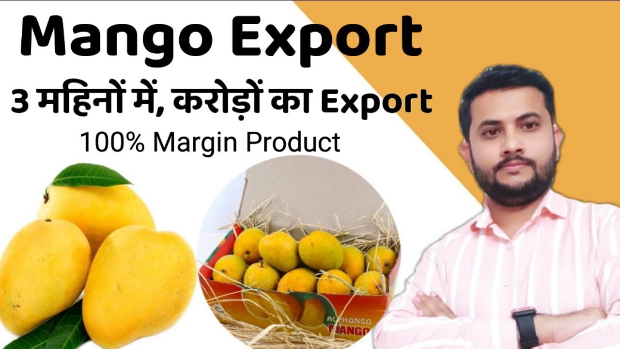 How to Export Mango from India to UK, Dubai, Canada, USA || Mango export business || Mangoes Export