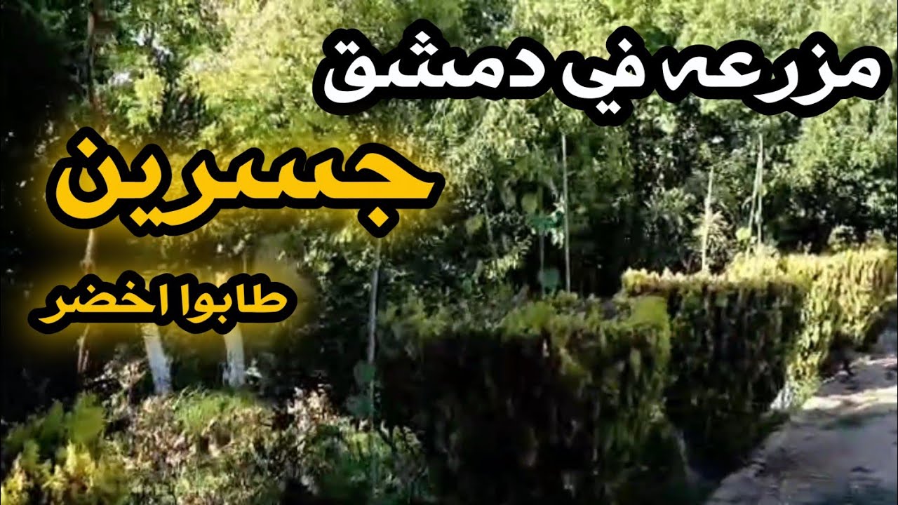 مزرعه في دمشق جسرين ضمن السكن مشججره للمهتم ٠٠٩٣٩٨٨٧٧٢٣٤٠