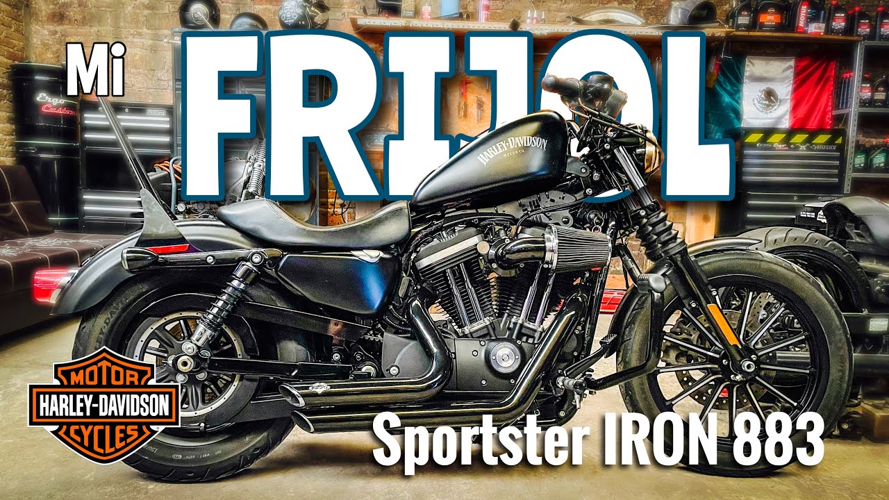 Conoce a  mi FRIJOL, una IRON 883 sexy, rebelde y única